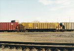 PTLX 15535